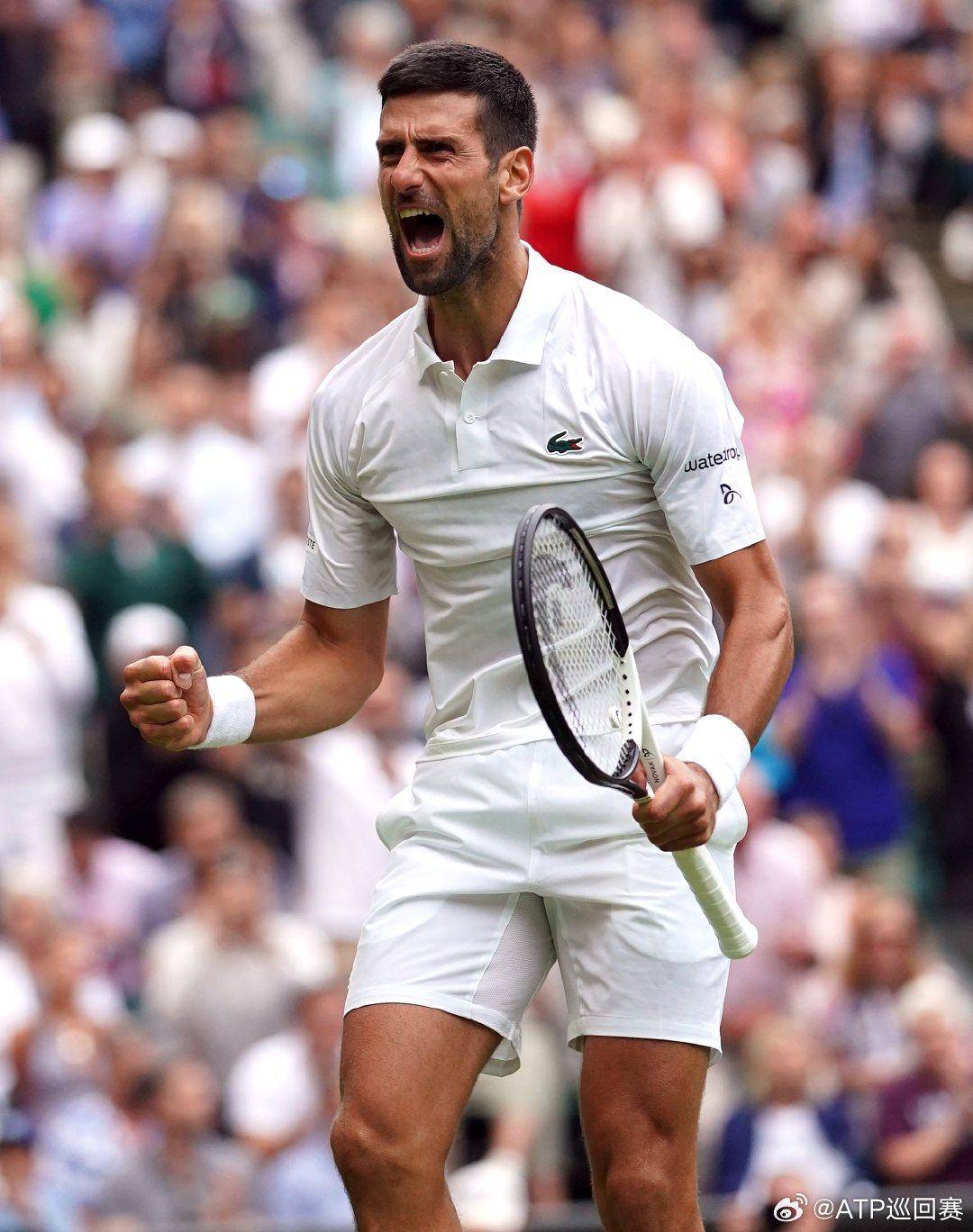 视频中的训 视频中的训